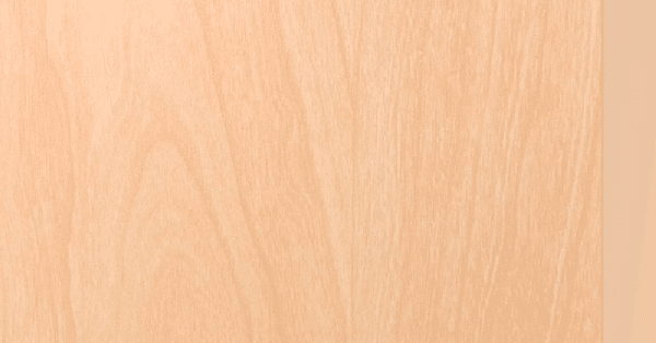 Pre-Finished Wood Door _ Economy Maple